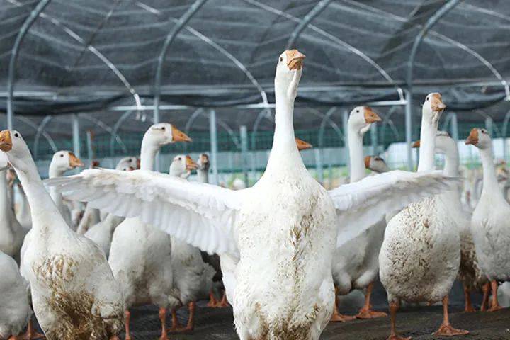 立方风控鸟·早报（1月24日）