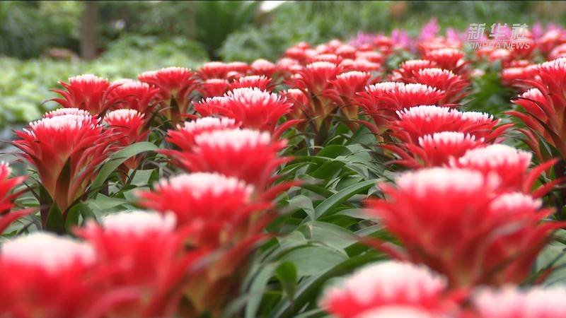 中信保诚基金郑义萨：2025年债券市场将迎更多机遇与挑战