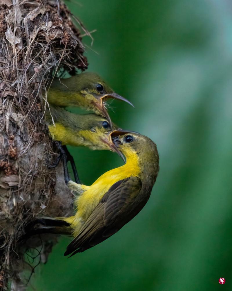 立方风控鸟·早报(2月8日)