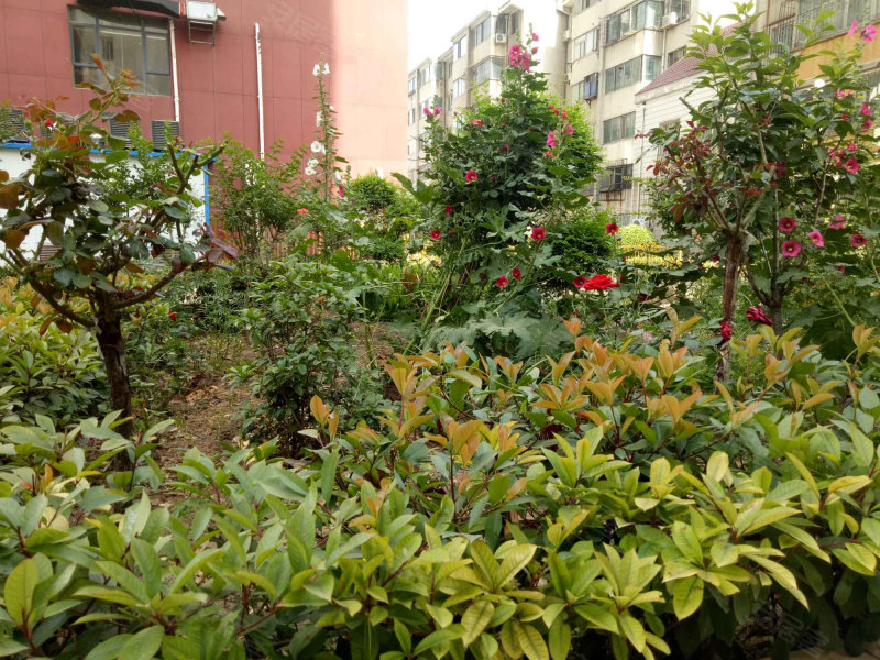 郑州公共住宅建投拟发行3.1亿元中票