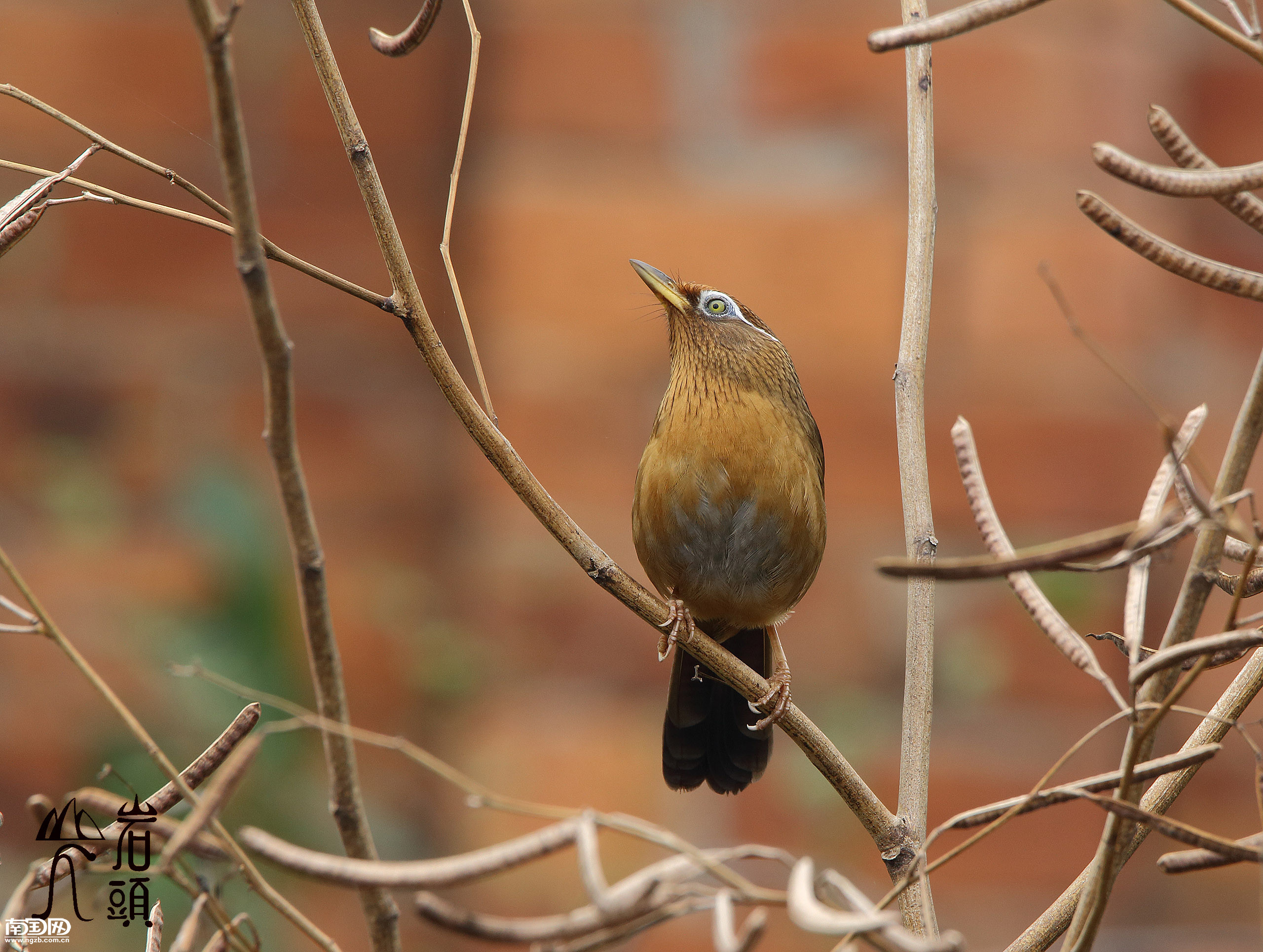 立方风控鸟·早报（2月28日）