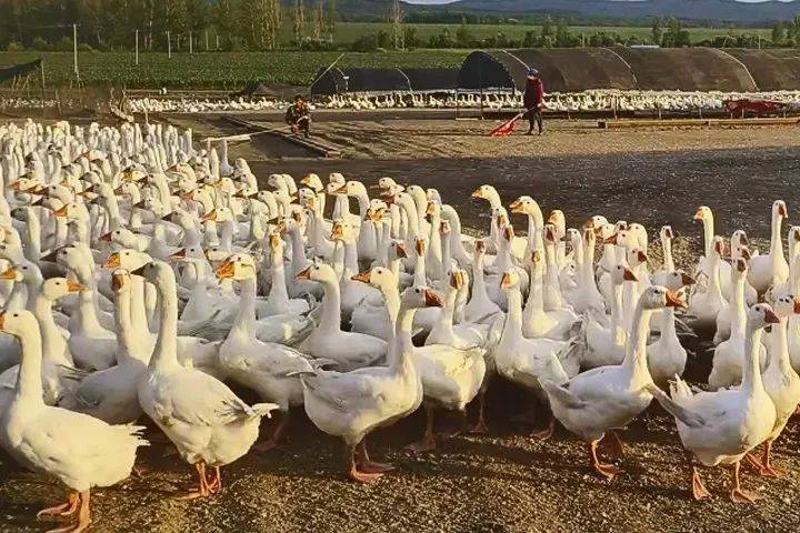 立方风控鸟·早报（3月3日）