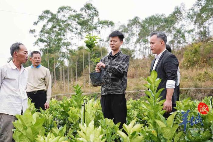 全国人大代表、人大财经委员会委员赵海英：健全儿童养育政策体系 建议设计发行“儿童发展”专项债