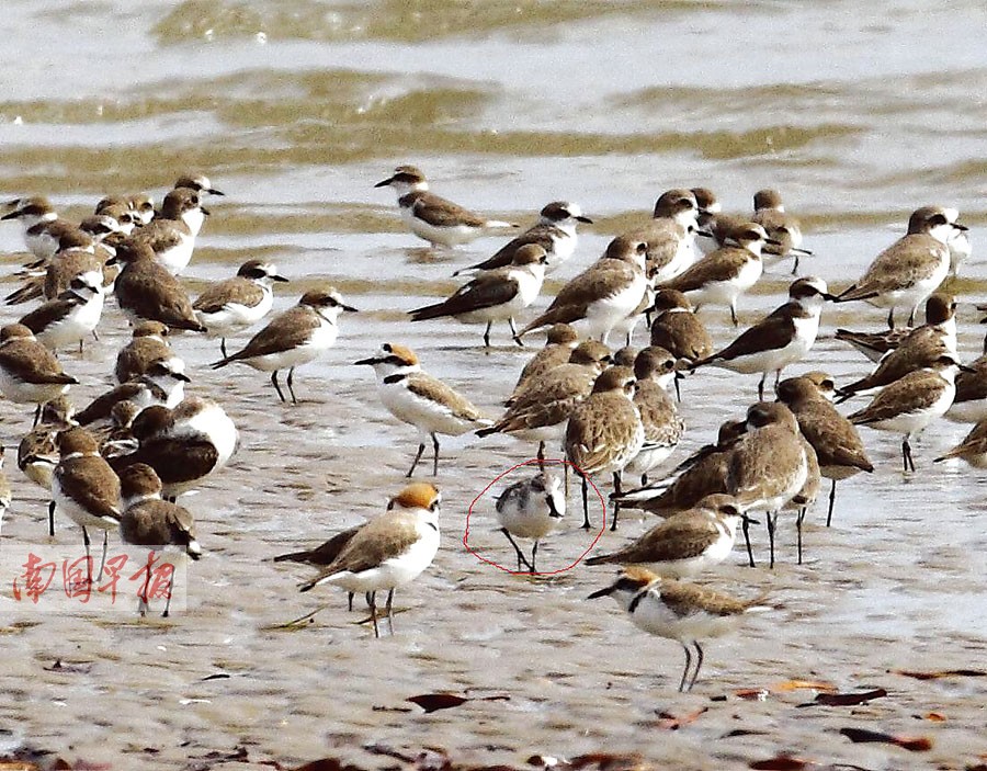 立方风控鸟·早报（3月10日）