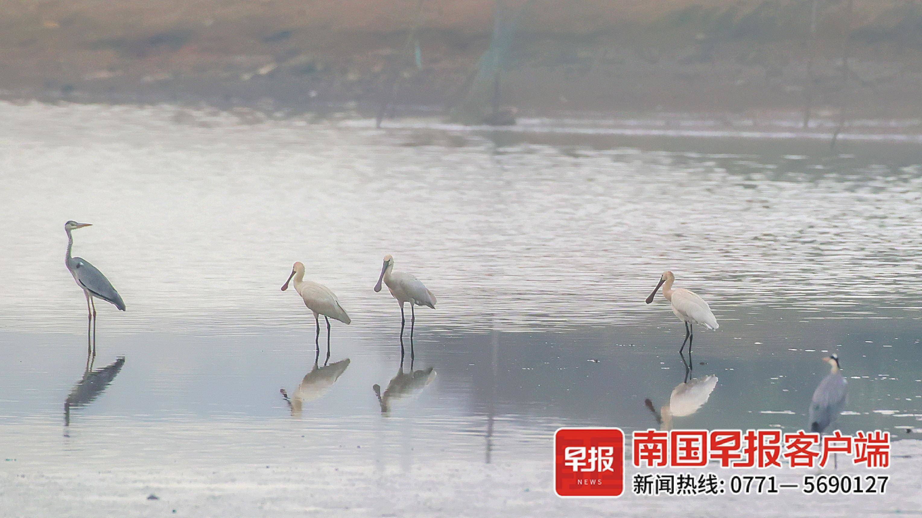 立方风控鸟·早报（3月24日）