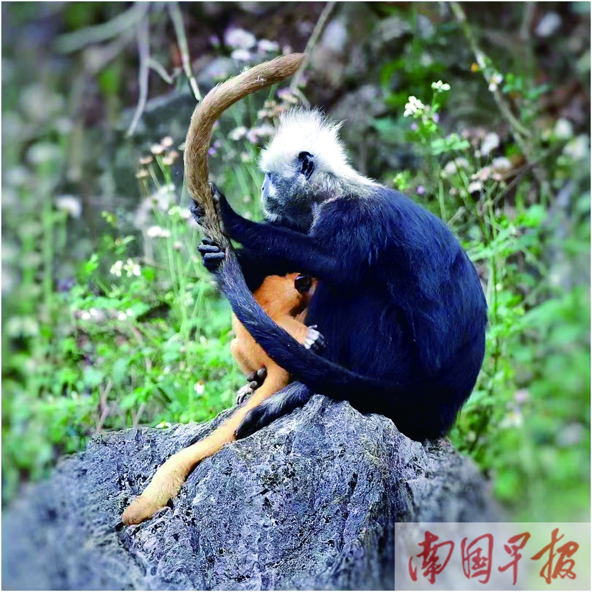 立方风控鸟·早报（3月24日）