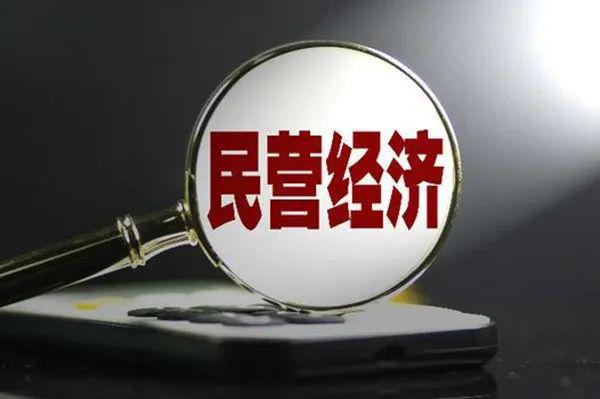 河北证监局:推动更多民营企业利用债券市场融资发展