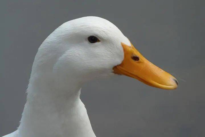 立方风控鸟·早报（3月29日）