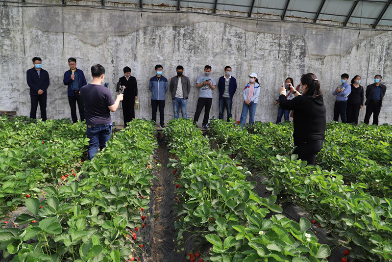 创新品种多 绿色债券发展势头足